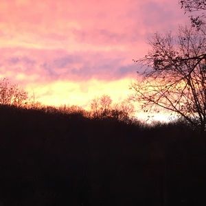 Meet your Posher, L’tanya